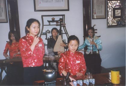 Chinese Style Garden